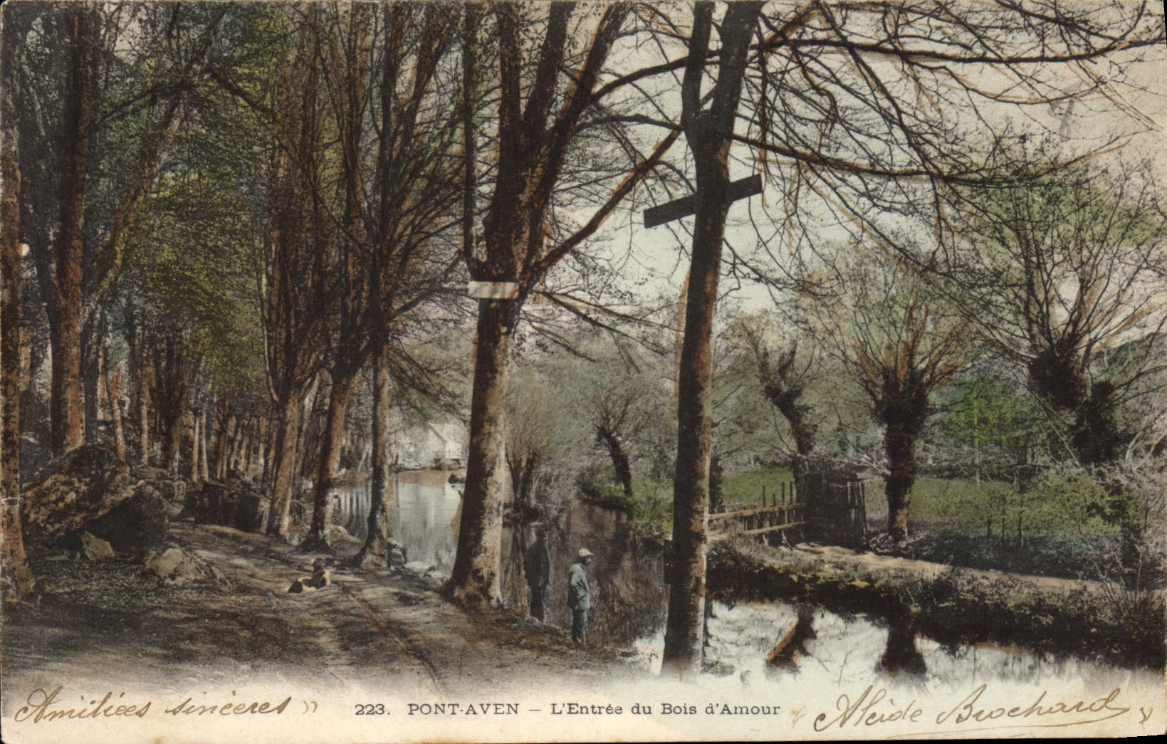 CPA Pont Aven l'Entree de Bois d'Amour 