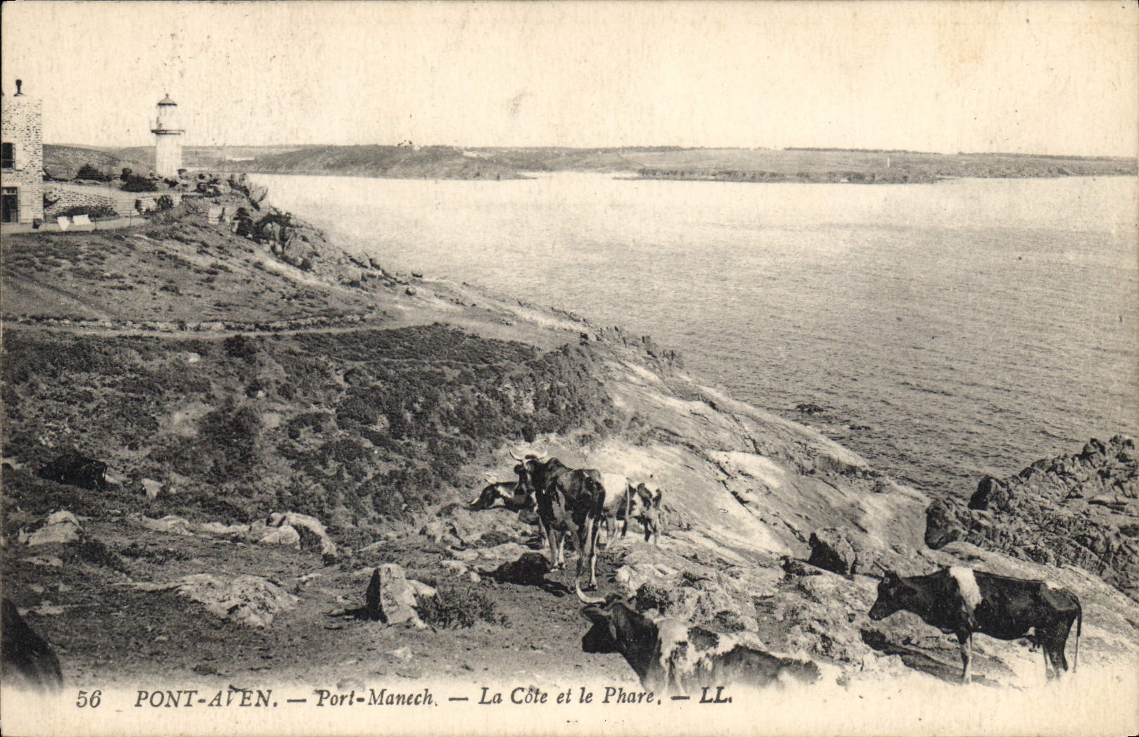 CPA Pont Aven Port Manech La Cote et le Phare Vaches