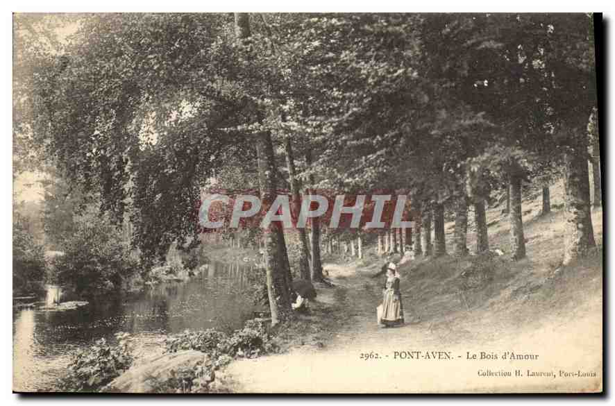 CPA Pont Aven Le Bois d'Amour 
