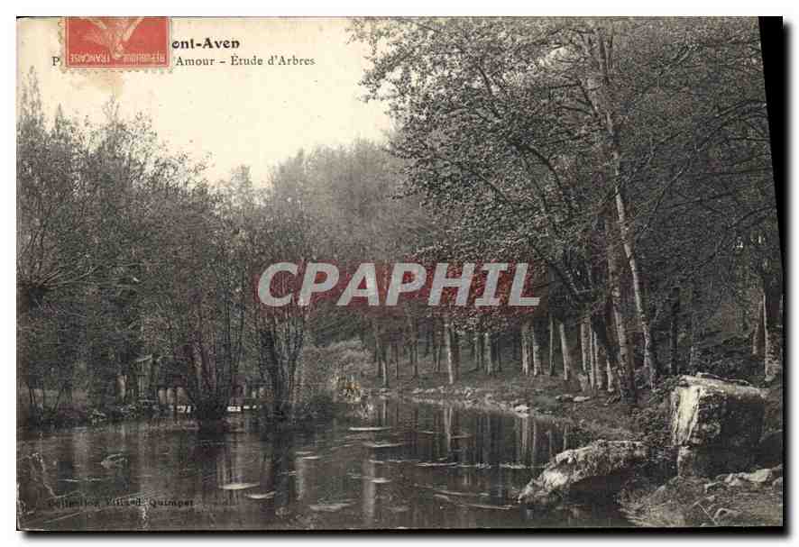 CPA Pont Aven Etude d'Arbres 