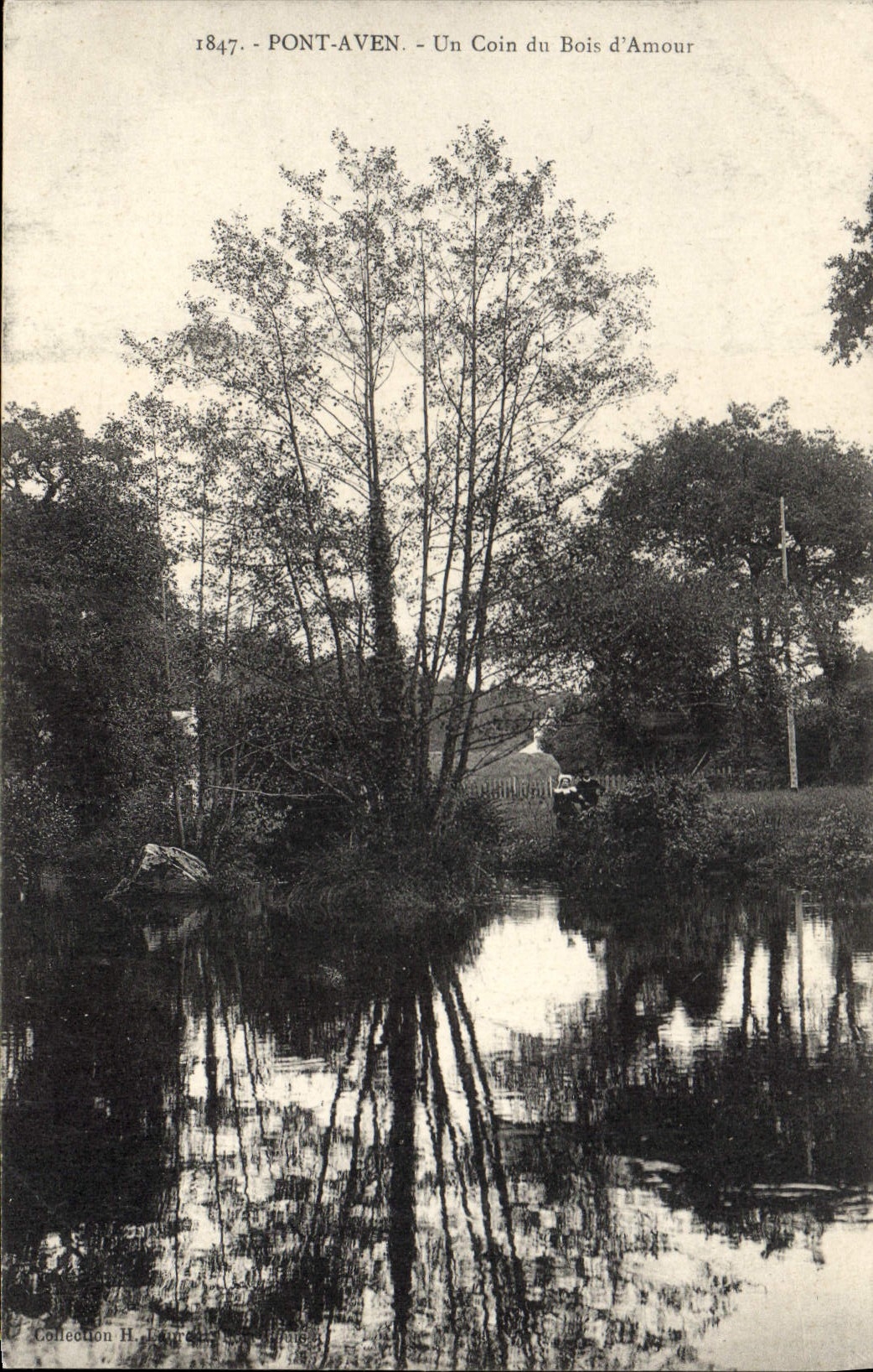 CPA Pont Aven Un coin du Bois d'Amour 
