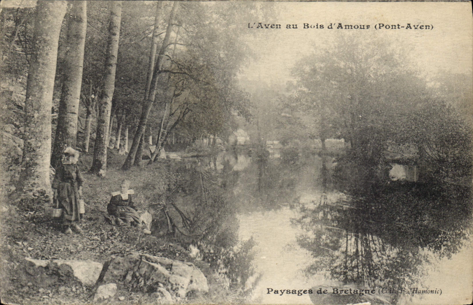 CPA l'Aven au Bois d'Amour Pont Aven 