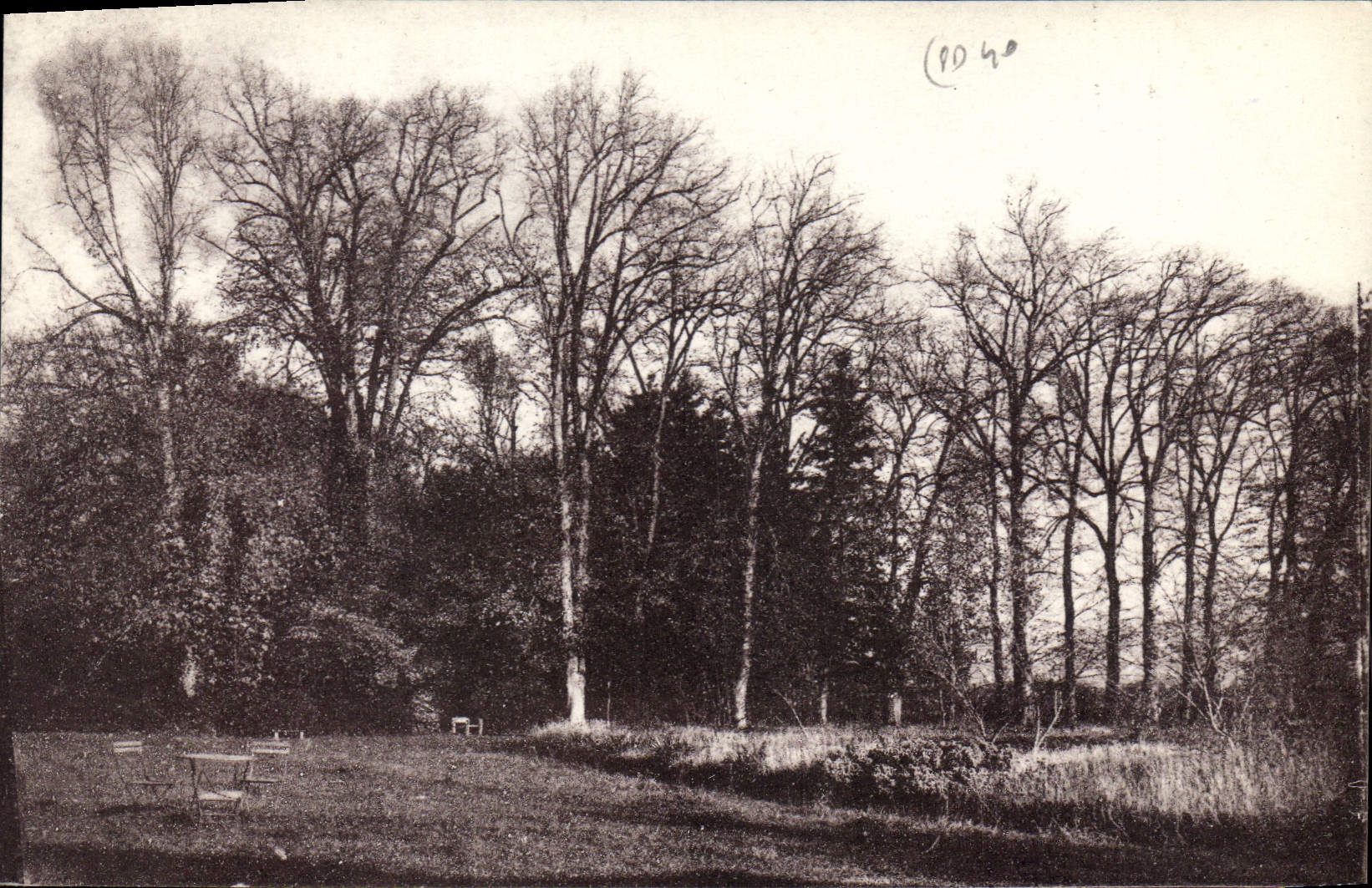 Château de PUY-SEC — Un coin du Parc — Édition L.M.F.