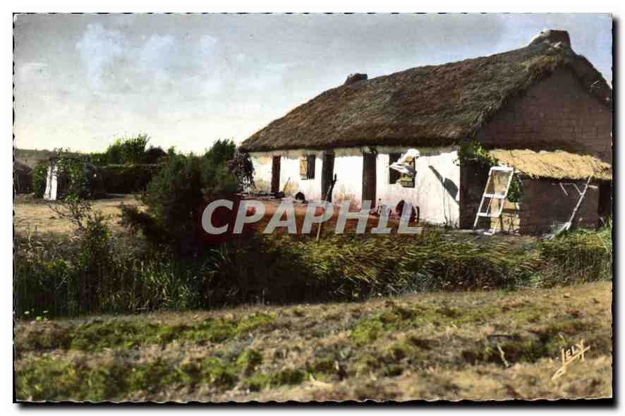 CPA Une Bourine du Marais de Monts Vendee 