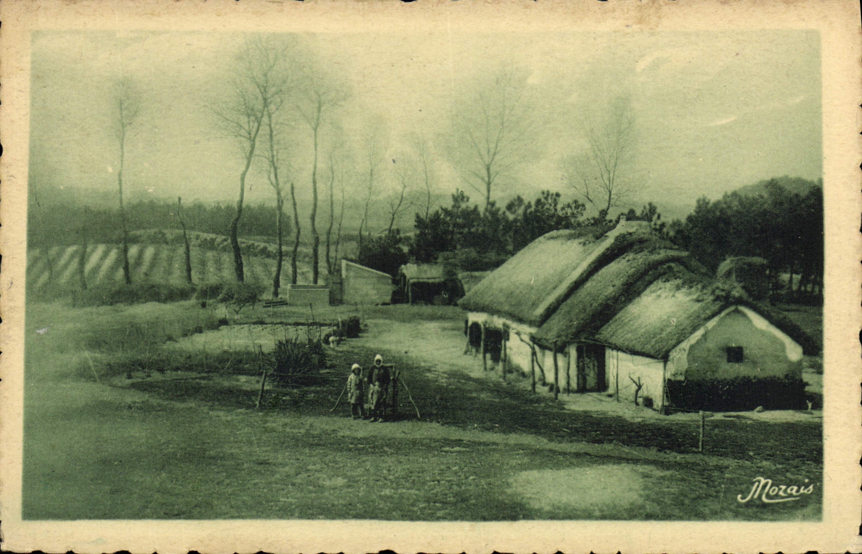 CPA Les plus Beaux paysages de la Vendee Maraichine Bourine a Orguet pres Saint Jean de Monts 