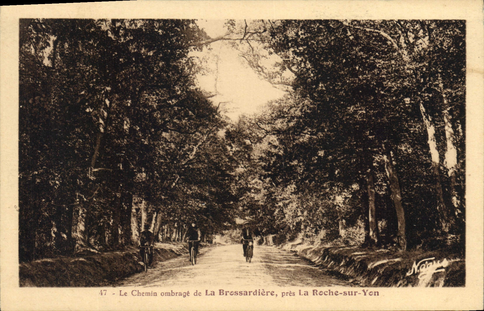 Le Chemin ombragé de La Brossardière, près La Roche-sur-Yon — N. C. — n°47