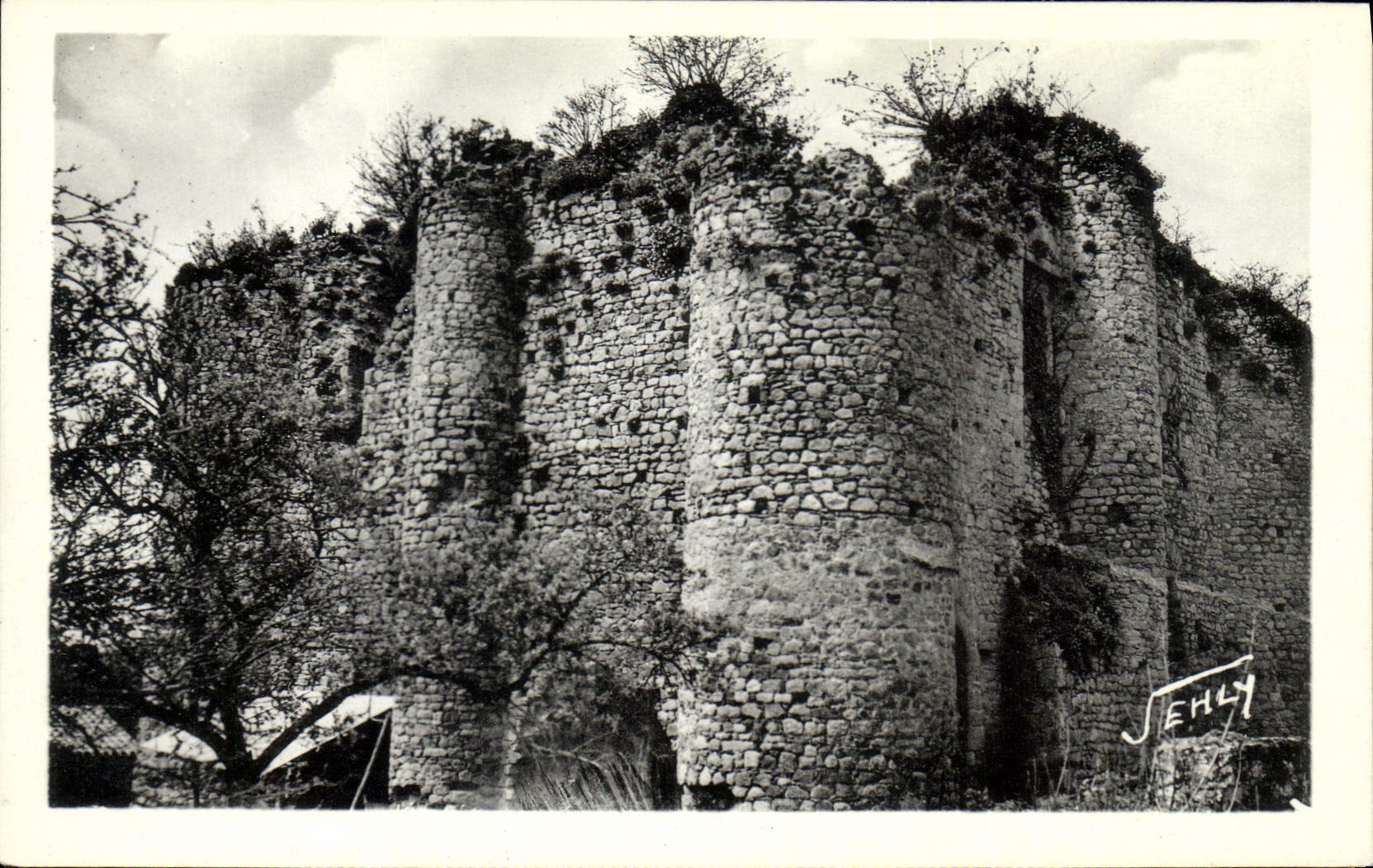 CPA Chateaumur Vendee le vieux chateau 