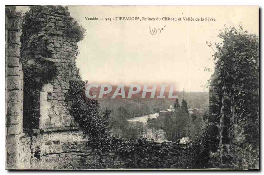 CPA Vendee Tiffauges Ruines du chateau et Vallee de la Sevre 