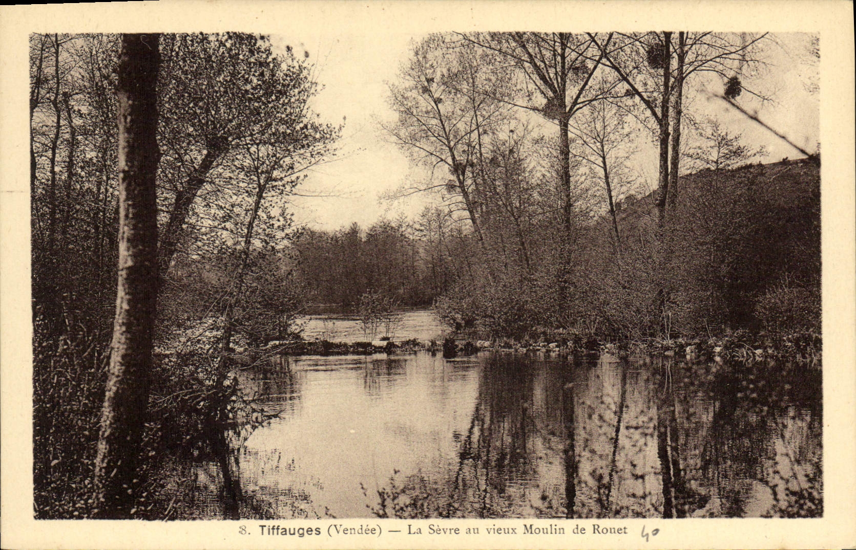 Tiffauges (Vendée) — La Sèvre au vieux Moulin de Ronet
