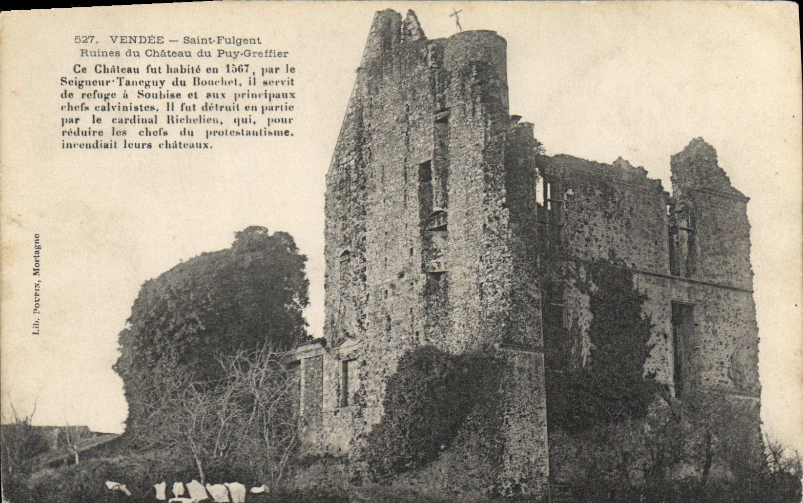 Vendée — Saint-Fulgent — Ruines du Château du Puy-Greffier