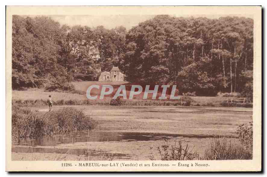 CPA Mareuil sur Lay Vendee et ses environs Etang a Nesmy 