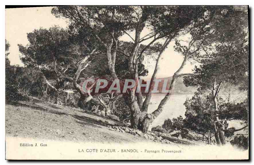 CPA La Cote d'Azur Bandol Paysages Provencaux 