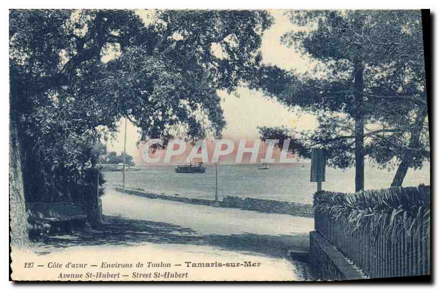 CPA Cote d'Azur Environs de Toulon Tamaris sur Mer Avenue St Hubert 