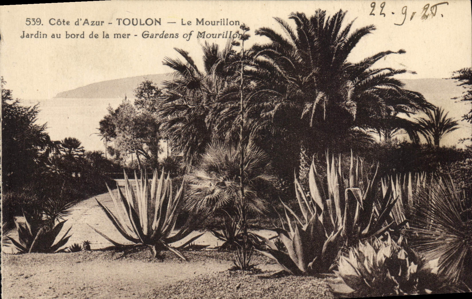 Côte d'Azur - TOULON - Le Mourillon — Jardin au bord de la mer — éditeur inconnu, n° 539