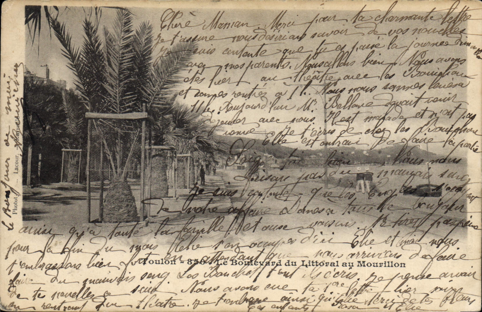 Paysage tropical avec palmiers — Toulon, Boulevard du Littoral au Mourillon — Photo Lacombe