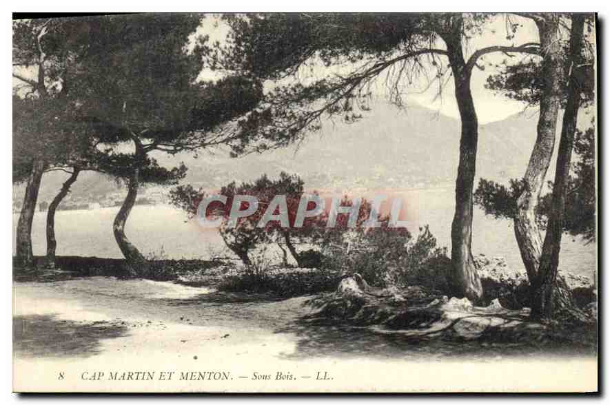 CPA Cap Martin et Meton Sous Bois 
