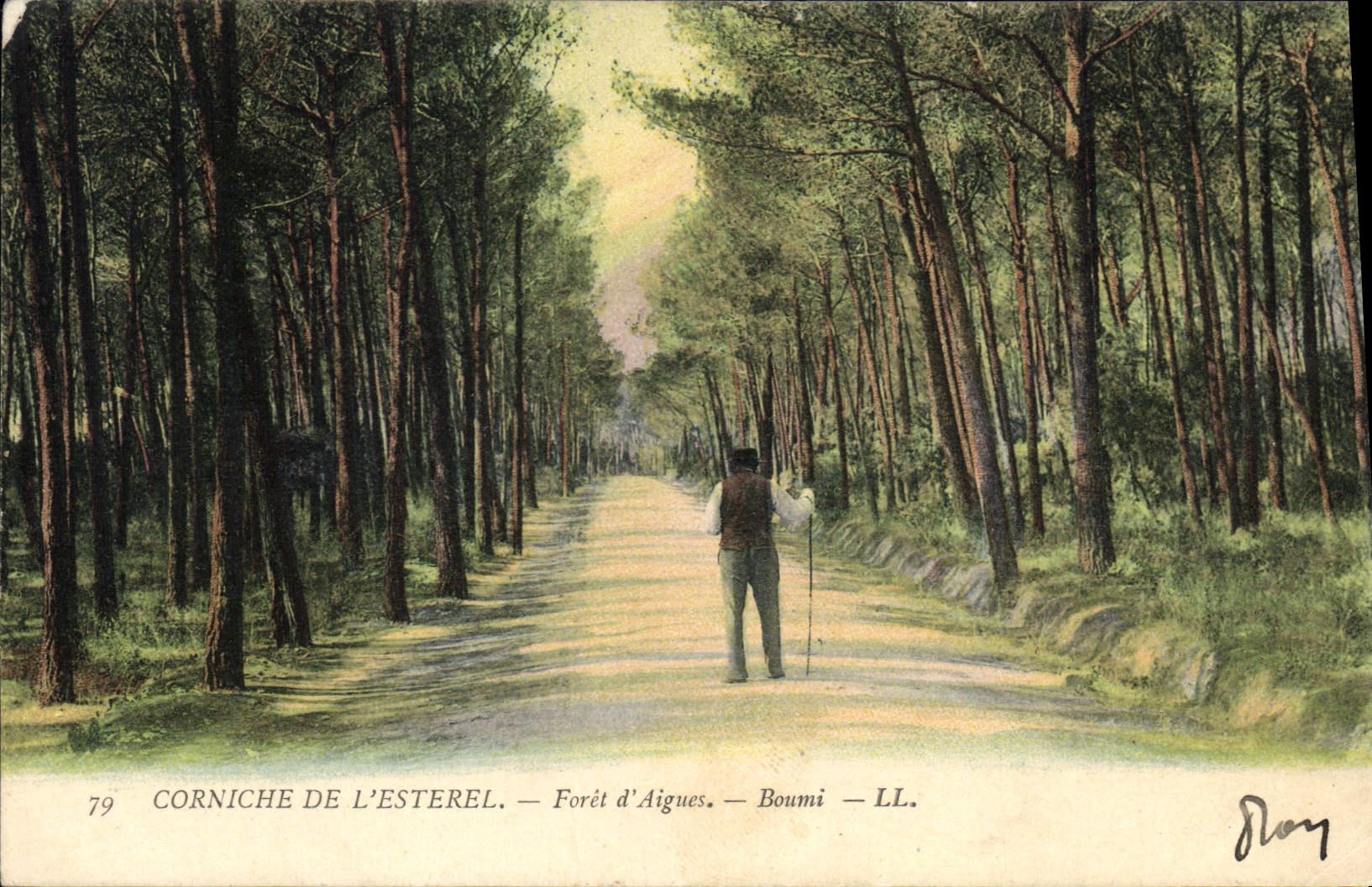 CPA Corniche de l'Esterel Foret d'Aigues Boumi 
