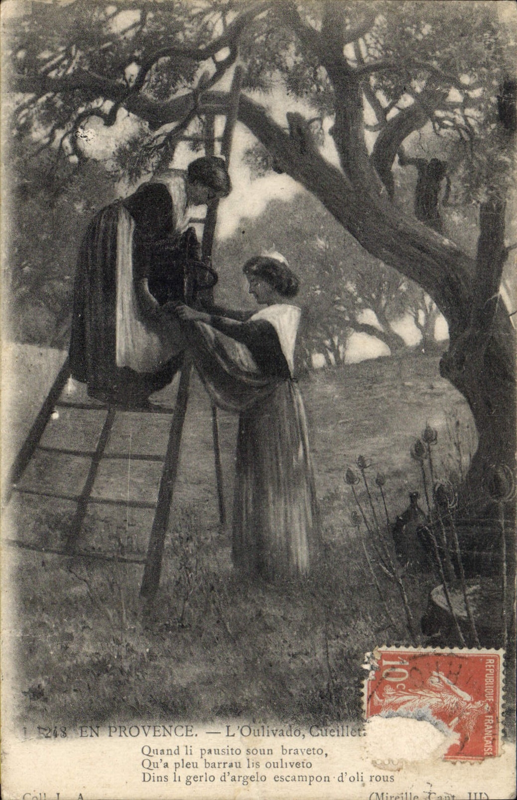 En Provence — L'Oulivado, Cucuillet — Mireille Taat, III
