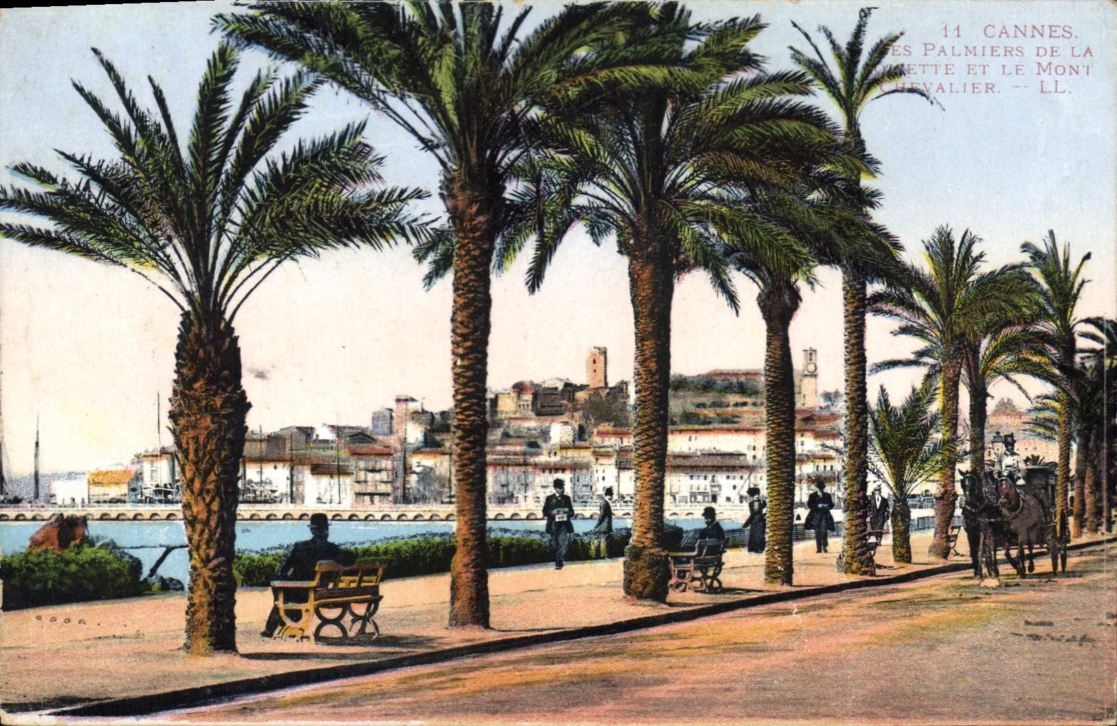 Cannes — Les Palmiers de la Promenade et le Mont Cavalier — LL
