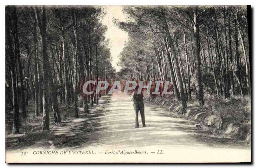 CPA Corniche de L'Esterel Foret d'Aigues Boumi 