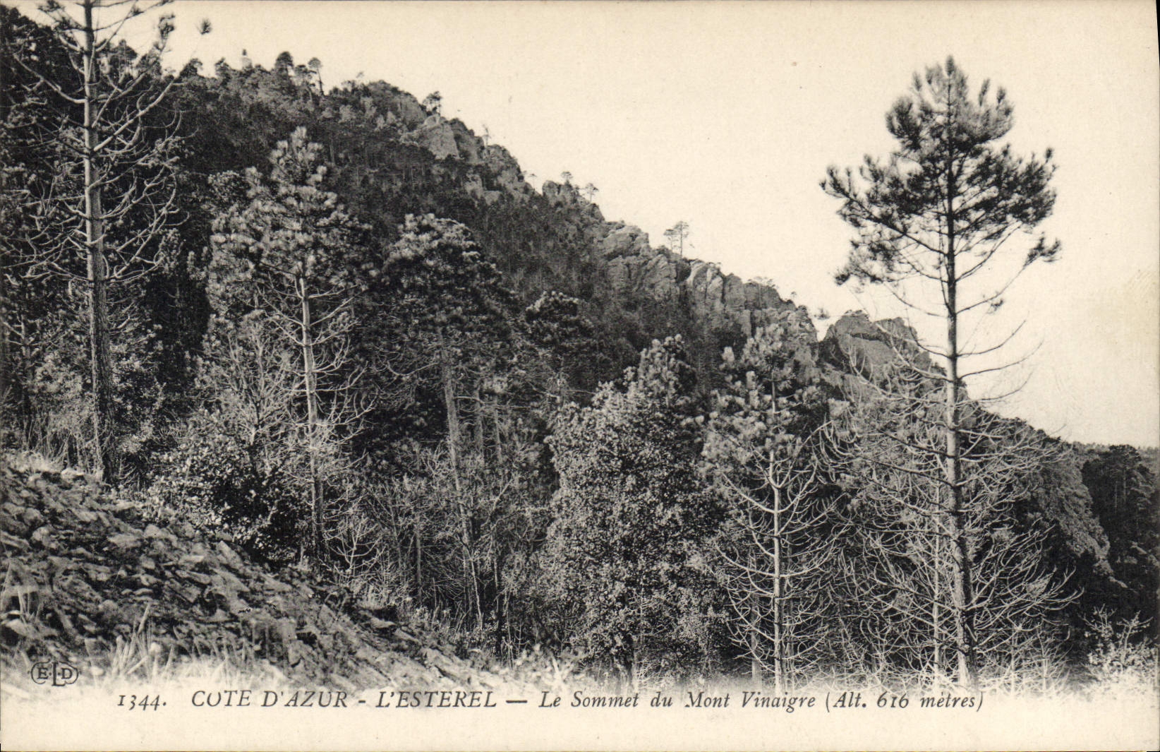 CPA Cote d'Azur L'Esterel Le Sommet du Mont Vinaigre 
