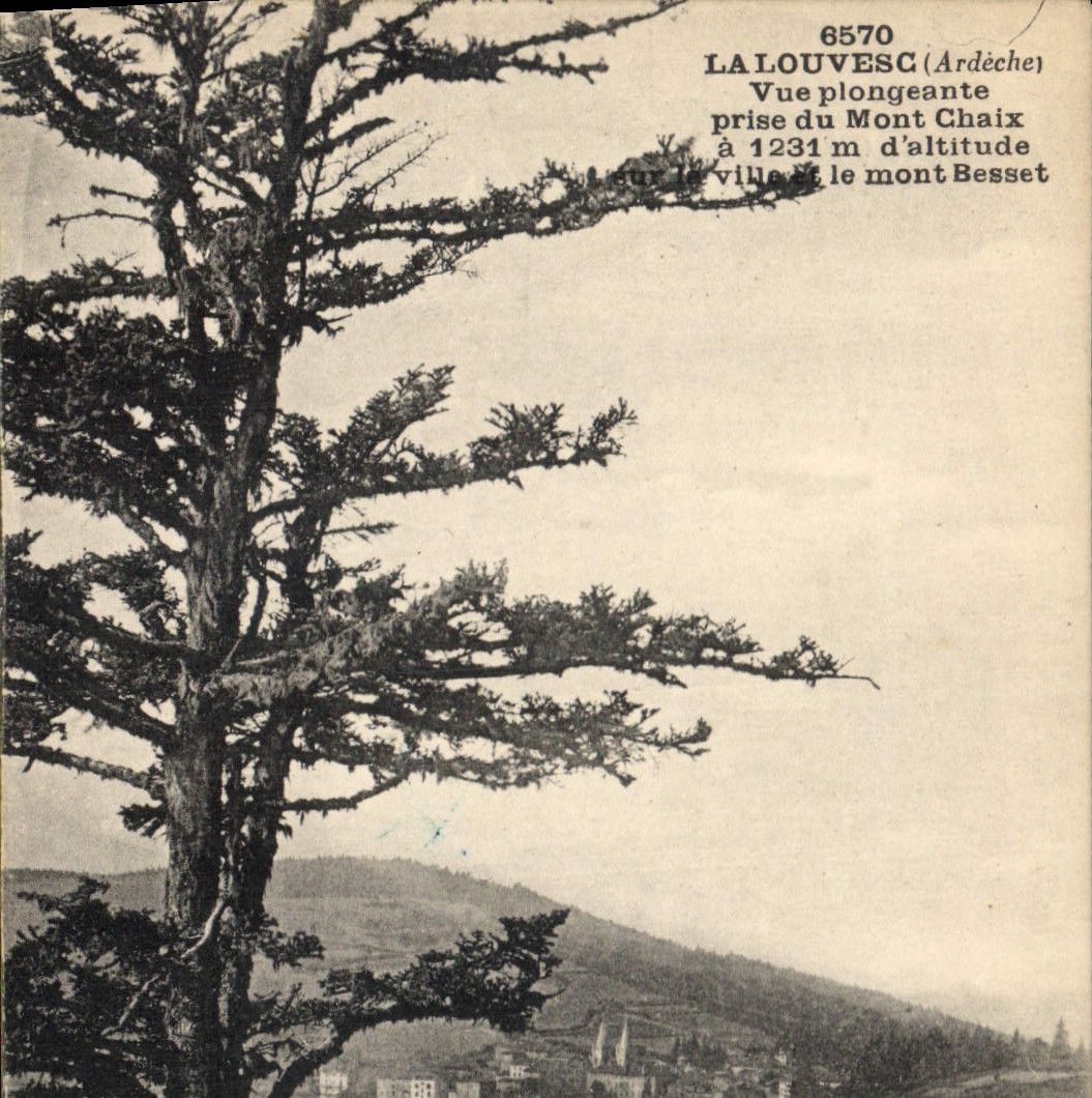 La Louvesc (Ardèche) — Vue plongeante prise du Mont Chaix à 1231 m d'altitude sur la ville et le mont Besset — n° 6570