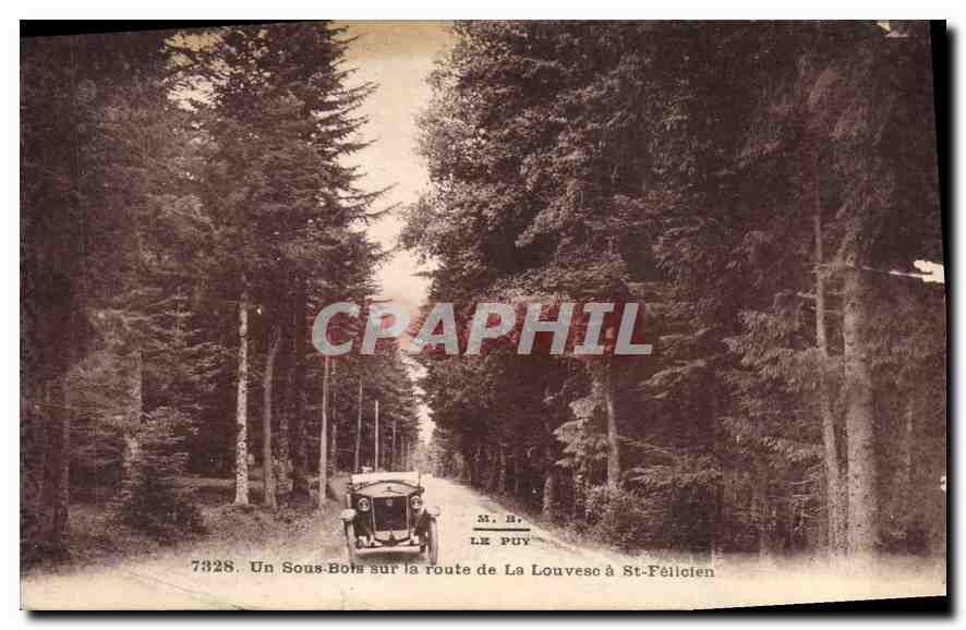 Un Sous-Bols sur la route de La Louvesc à St-Félicien — M. B. LE PUY, n° 7328