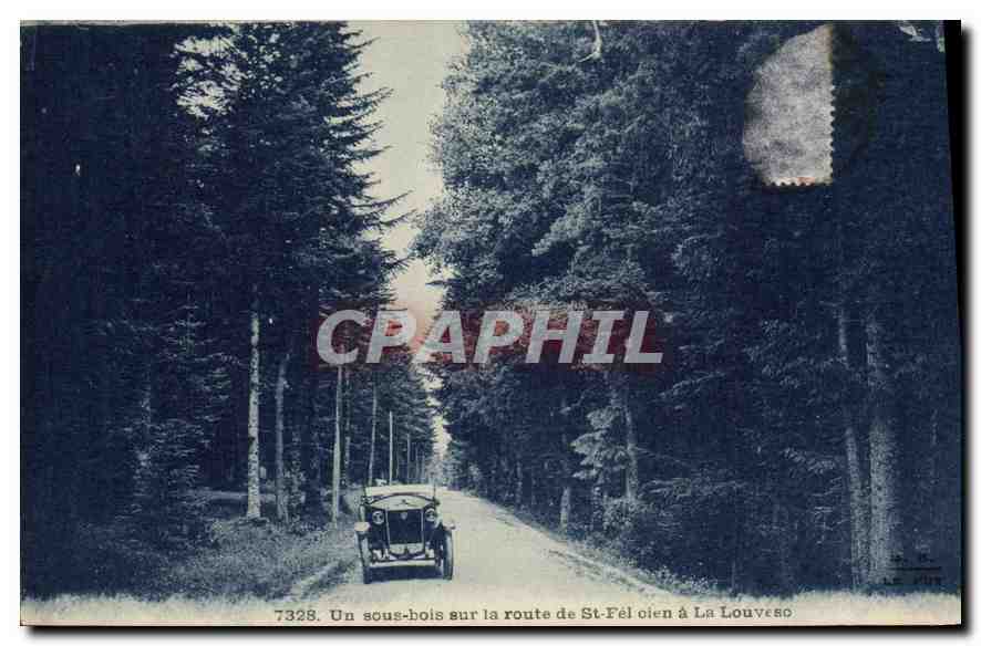CPA Un sous bois sur la route de St Fel olen a La Louvesc Automobiel