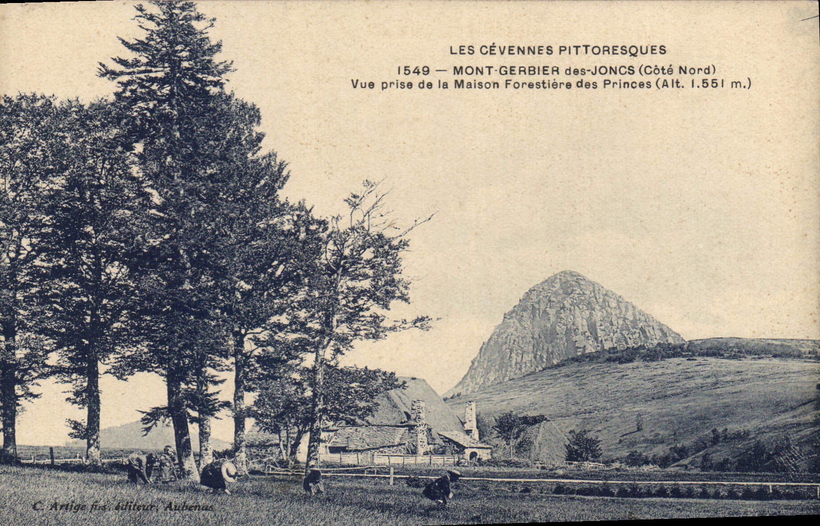 Les Cévennes pittoresques — Mont-Gerbier des Joncs (Côté Nord) — Vue prise de la Maison Forestière des Princes (Alt. 1.551 m.) — C. Artige fils, éditeur, Aubenas