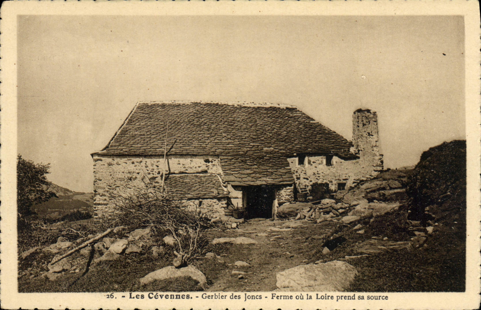 CPA Les Cevennes Gerbier des Joncs Ferme ou la Loire prend sa Source