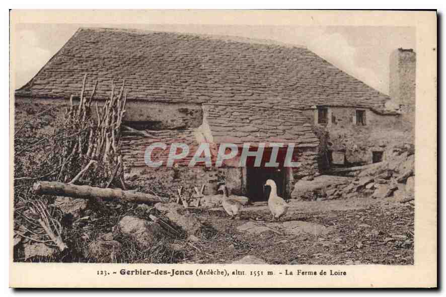 Gerbier-des-Joncs (Ardèche), altit. 1551 m. — La Ferme de Loire