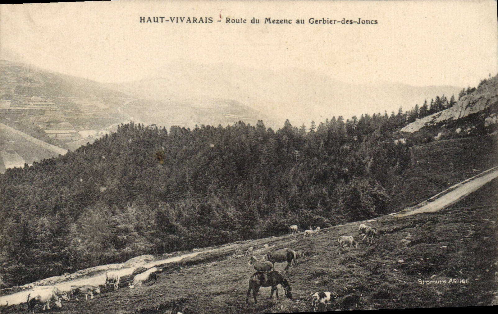 CPA Haut Vivarais Route du Mezenc au Gerbier des Joncs