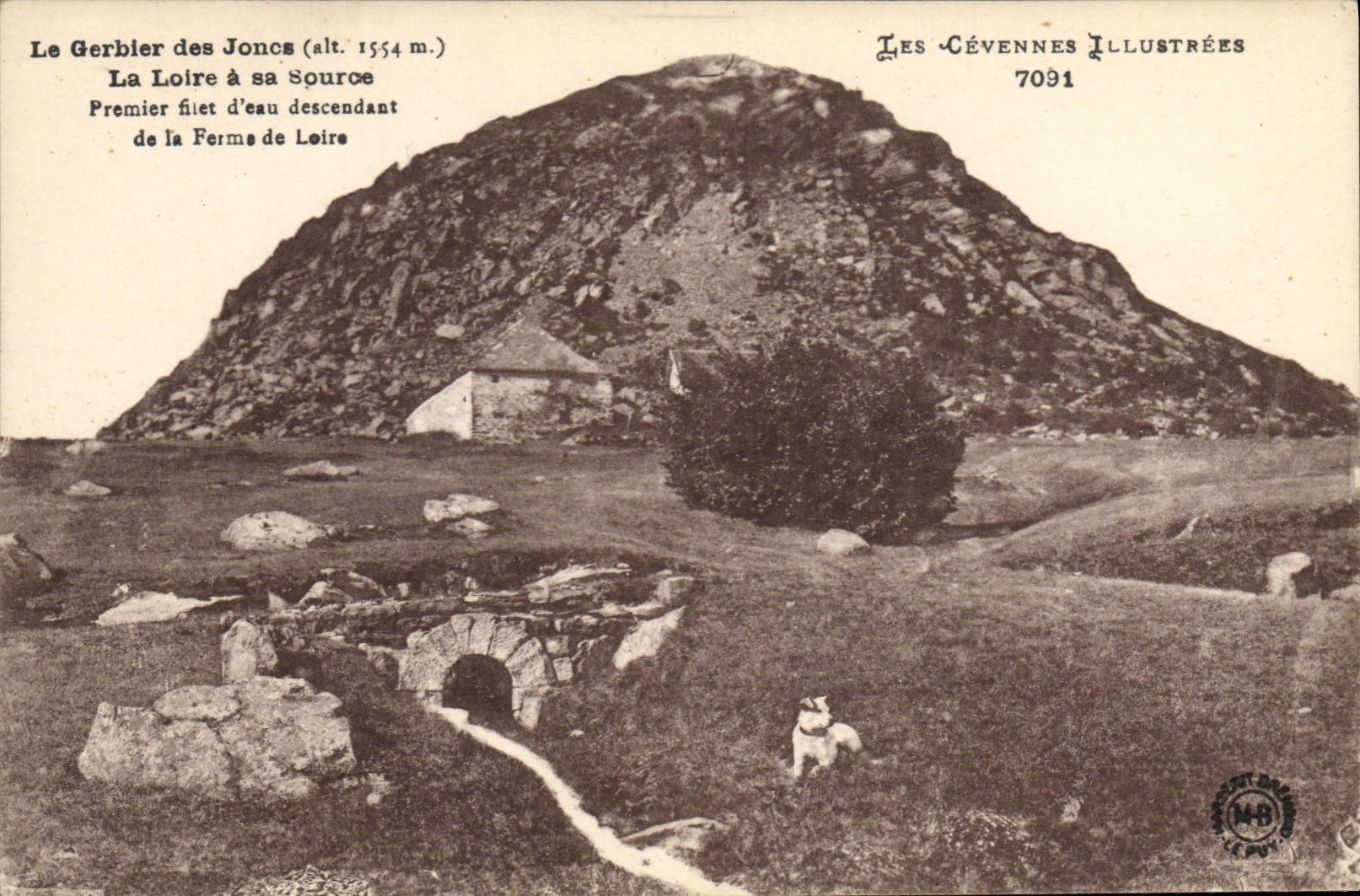 CPA Les Cevennes Illustrees le Gerbier des Joncs (alt 1554 m) La Loire a sa source Premier Filet d'e