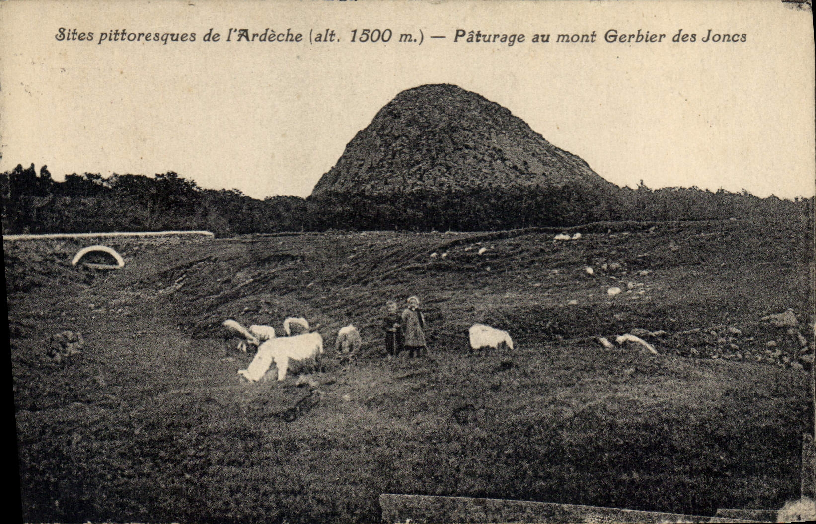 Weide am Mont Gerbier des Joncs — pittoreske Orte der Ardèche (Höhe 1500 m.) — Verleger unbekannt
