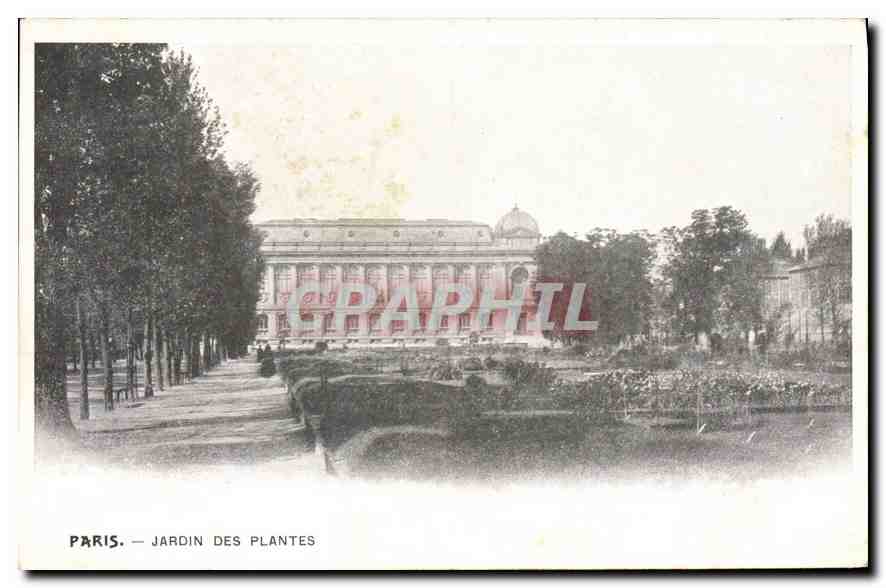 CPA Paris Jardin des Plantes