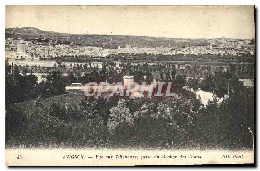 CPA Avignon Vue sur Villeneuve prise du Rocher des Doms