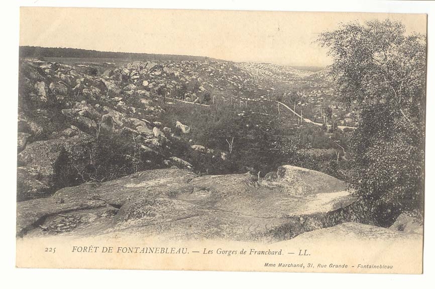 Wald von Fontainebleau — Die Schluchten von Francbard — LL