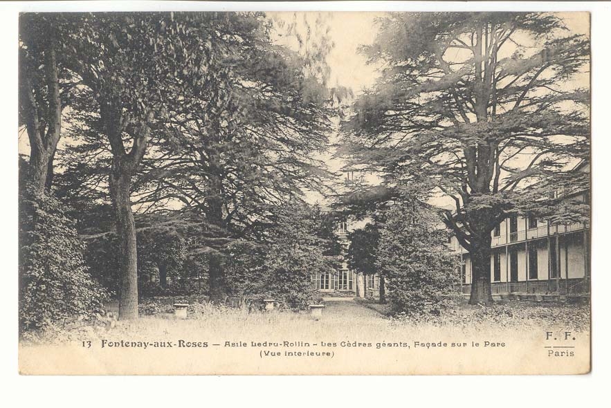 Fontenay aux Roses CPA Asile Ledru Rollin Les cedres geants facade sur le parc (vue interieure)