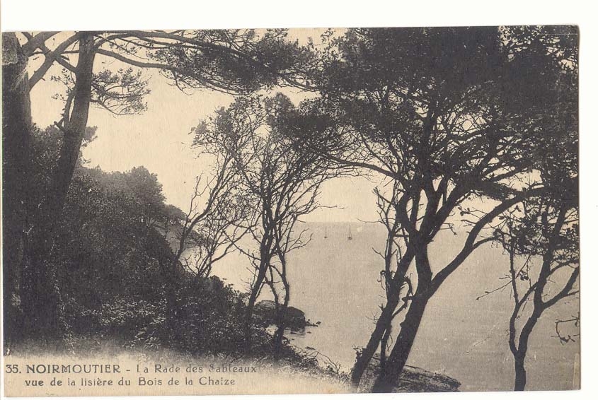 Noirmoutier - Die Bucht der Sableaux aus der Richtung des Waldes Chaîze gesehen — unbekannter Verlag, Nr. 35