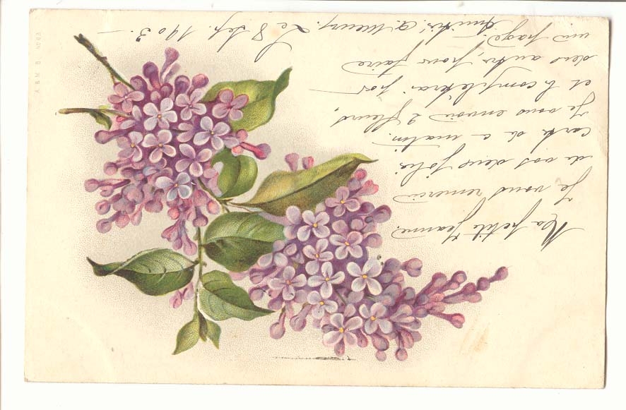 CPA Voeux fleurs Fantaisie