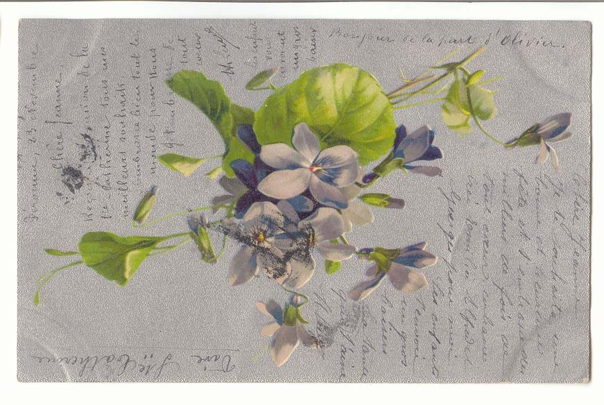 CPA Voeux fleurs Fantaisie