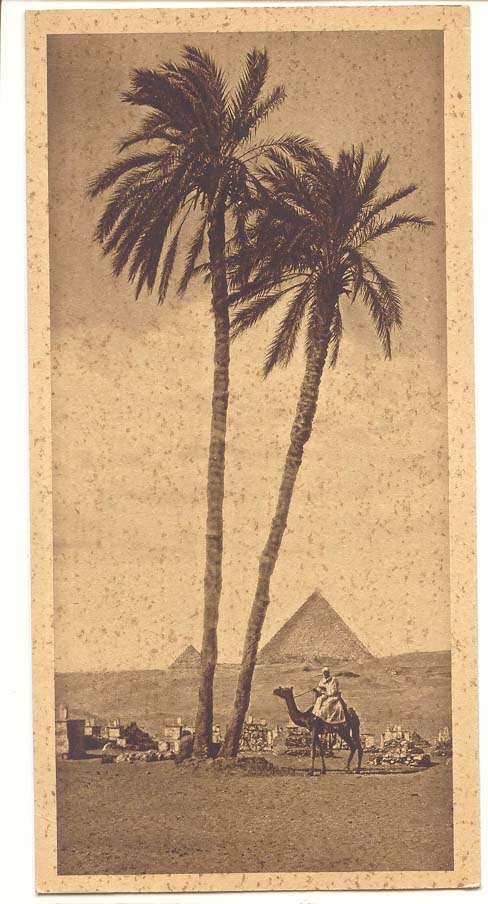 Egypte CPA The pyramids of Gizeh