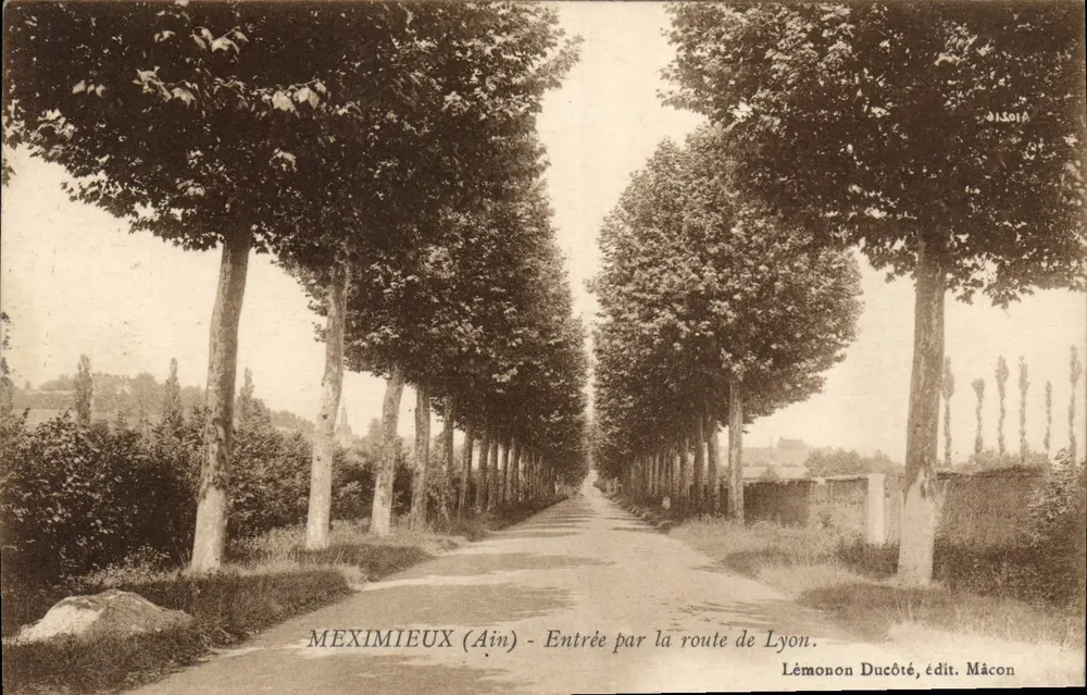 Meximieux (Ain) - Eingang über die Lyonstraße — Lémonon Ducoté, Verlag Mâcon - Vorderseite