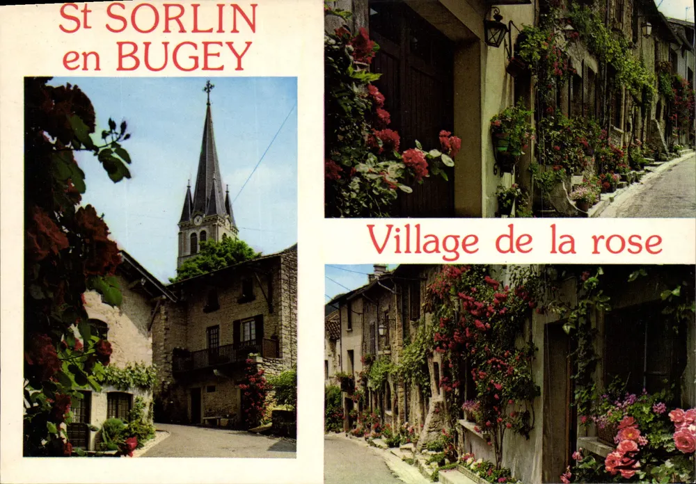 St SORLIN en BUGEY — Village de la rose — S.A.D. la CROGNE, Lyon - Vorderseite