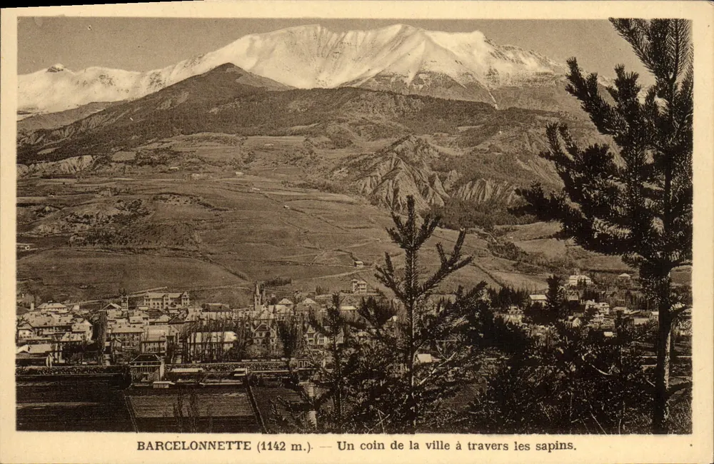 Barcelonnette (1142 m.) — Ein Stück der Stadt durch die Tannen. - Vorderseite