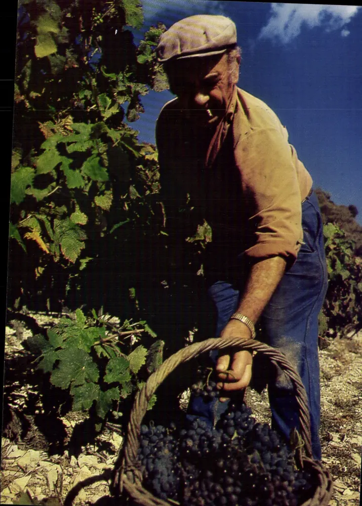 Plateau des Gras — Die Weinlese-Saison in der Ardèche — Editions de Larnieu - Vorderseite