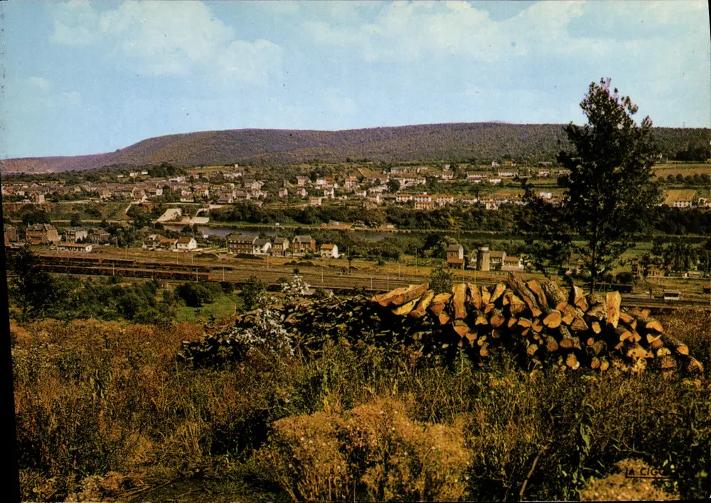 Vireux-Wallerand — Panoramablick — Editions LA CIGOGNE, Reims - Vorderseite