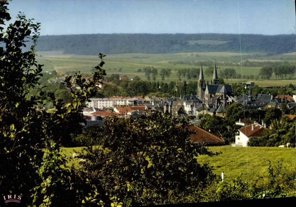 Mouzon (Ardennes) — Vista panoramica — Edizioni 'La Gipéens' n° 08.311.14 - Recto