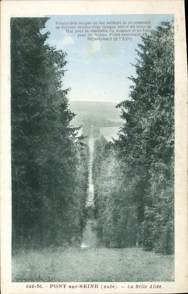 Puente-sur-Seine (Aube) — La Belle Allée — Ganaciot, edición n° 566-26 - Anverso