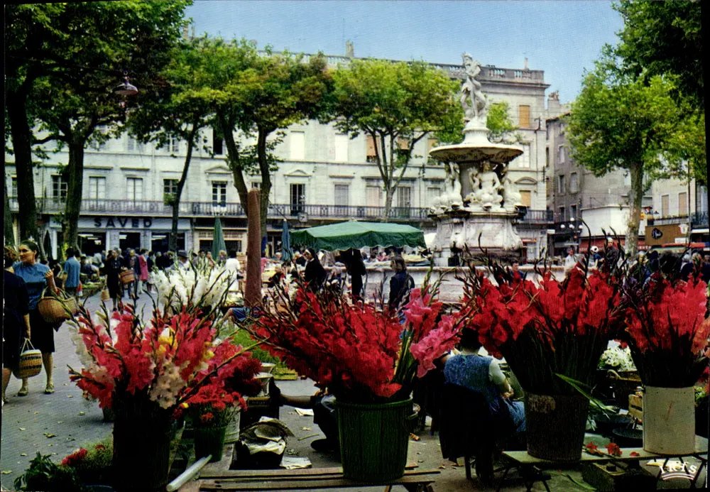Carcassonne (Aude) — Place Carnot und Fontaine de Neptune (1770) — Éditions Limoges - Vorderseite